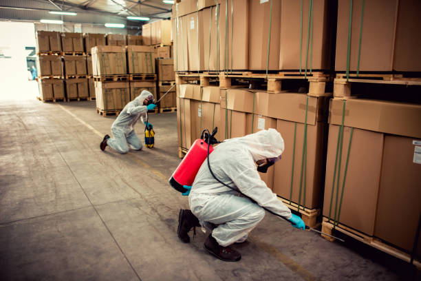 Best Rat Extermination Near Me  in Hillsboro, KS