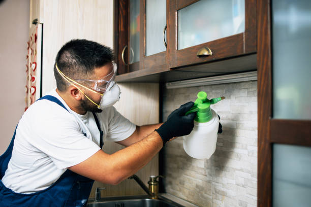 Best Best Pest Control Companies  in Hillsboro, KS