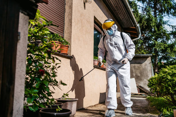 Professional Pest Control in Hillsboro, KS