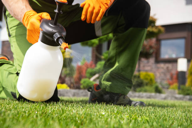 Best Pest Control for Businesses  in Hillsboro, KS
