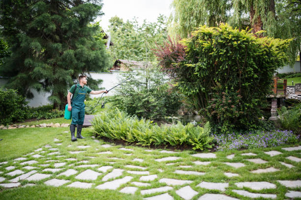 Pest Prevention Services in Hillsboro, KS