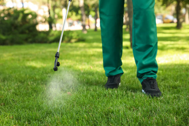 Best Pest Inspection Near Me  in Hillsboro, KS