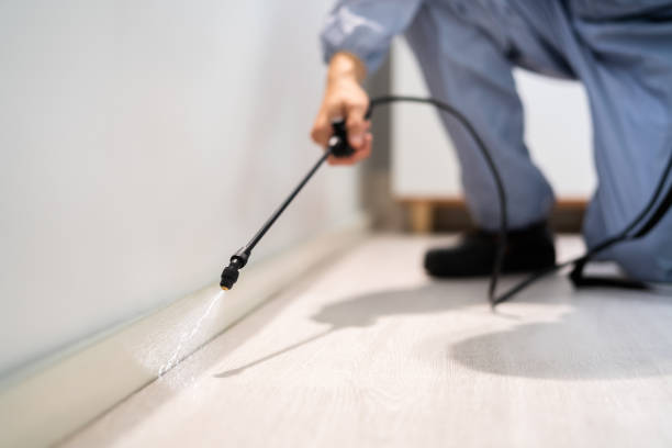 Best Affordable Pest Control Services  in Hillsboro, KS
