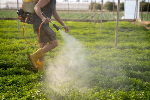 Best Pest Control Near Me in Hillsboro, KS