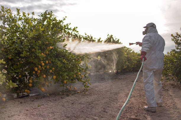 Best Affordable Exterminators  in Hillsboro, KS