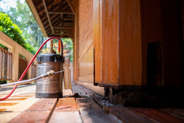 Best Ant Control Services  in Hillsboro, KS