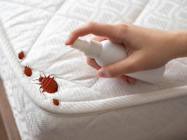 Best Pest Control Near Me  in Hillsboro, KS