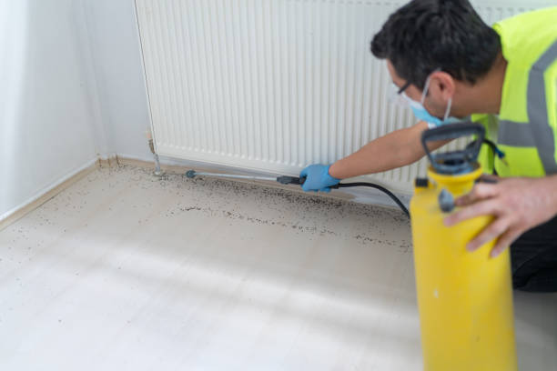 Best Best Pest Control Companies  in Hillsboro, KS
