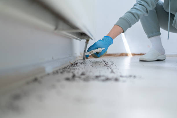 Best Mosquito Control Services  in Hillsboro, KS